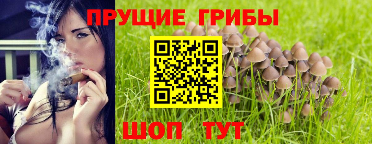 Псилоцибиновые грибы мицелий Янаул
