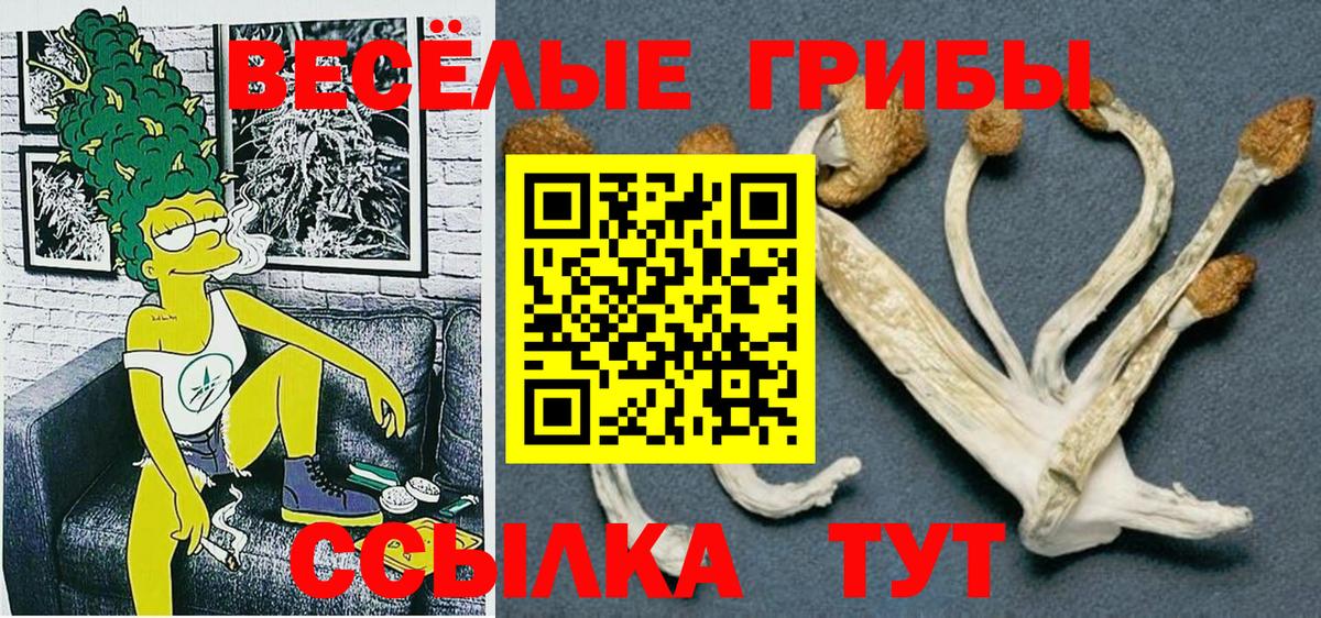 Псилоцибиновые грибы MAGIC MUSHROOMS  Вход с VPN  Галлюциногенные грибы ЛСД  Янаул 